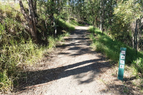 Mt Coot-tha Tourist Drive - Accommodation Sydney 2