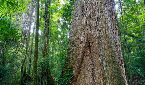 Murray Scrub Walking Track - Accommodation Sydney 0