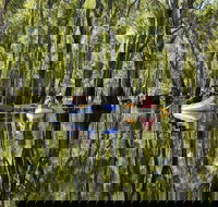 Murray River canoe trails