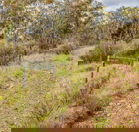 Old Mountain Road Walking Track - Accommodation Sydney