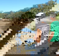 Paddle Steamer Wagga Wagga Wreck - Sydney 4u