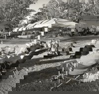 Pioneer Park - Accommodation Sydney