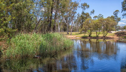 Pioneer Park - Accommodation Sydney 2