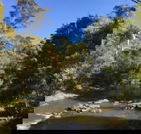 Pipers River Board Walk - Accommodation Sydney