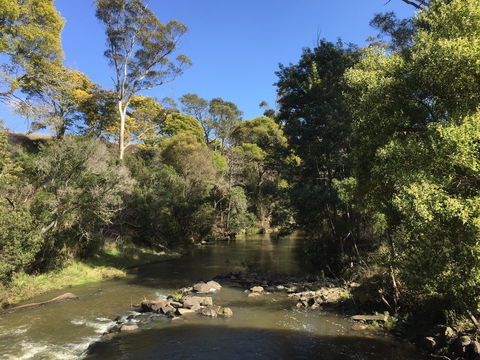 Pipers River Board Walk - Accommodation Sydney 0