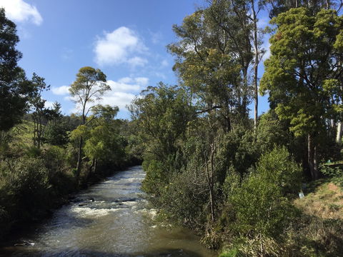 Pipers River Board Walk - Accommodation Sydney 1