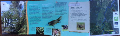 Pipers River Board Walk - Accommodation Sydney 2