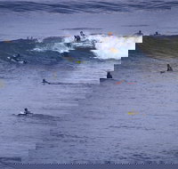 Point Addis Marine National Park - Accommodation Sydney