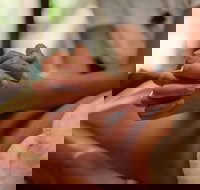 Prani Glow Day Spa - Accommodation Sydney