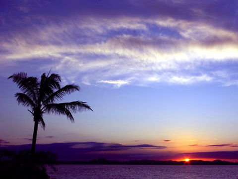 Quoin Island Retreat And Turtle Rehabilitation Centre - Accommodation Sydney 0