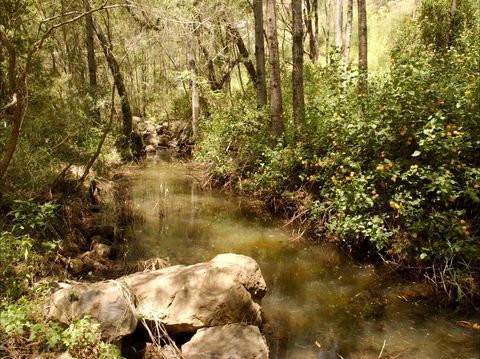 Sandy Creek Track - Sydney Resort 0