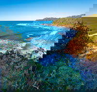 Shellgrit Beach Red Head - Sydney 4u