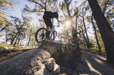 St Helens Mountain Bike Trails - Accommodation Sydney 1