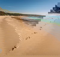 Terrace Beach and Lennards Island - Sydney 4u