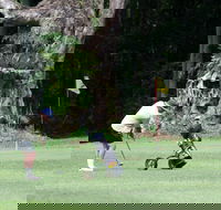 Teven Valley Golf Course - Accommodation Sydney