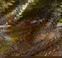 The West Coast Wilderness Way - Accommodation Sydney