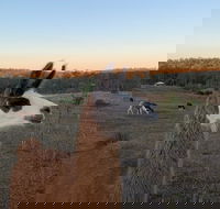 The Llama Farm - Sydney 4u