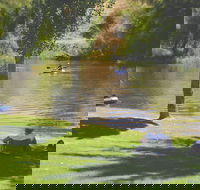 The Lions Junction Park - Tumut - Accommodation Sydney