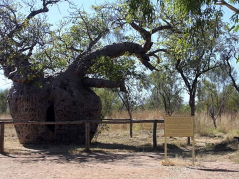 Time Walk, Windjana Gorge National Park - Accommodation Sydney 2