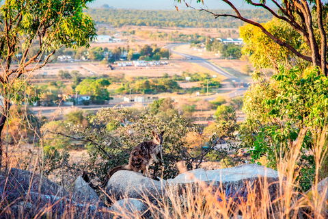 Towers Hill Lookout And Amphitheatre - Sydney 4u 2
