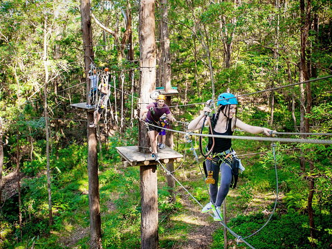 TreeTop Challenge Currumbin Wildlife Sanctuary - Sydney Resort 1