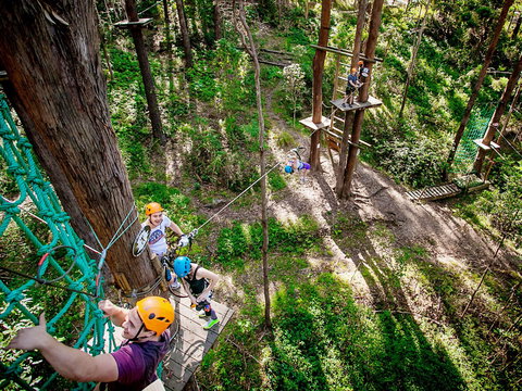 TreeTop Challenge Currumbin Wildlife Sanctuary - Sydney Resort 2