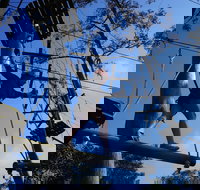 Trees Adventure Nowra Park - Sydney Resort