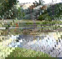 Tumut Wetlands - Accommodation Sydney