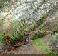 Venman Bushland National Park - Accommodation Sydney