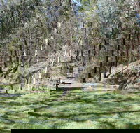 Wallaby Walking Track - Accommodation Sydney