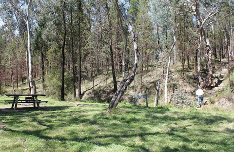 Wallaby Walking Track - Accommodation Sydney 0