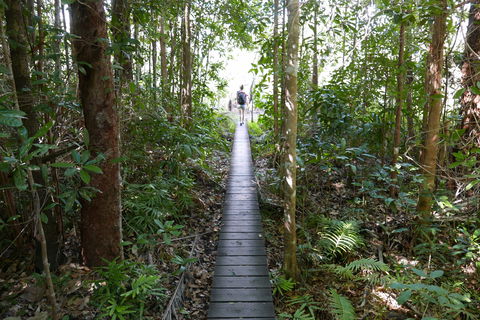 Walker Creek - Sydney 4u 0