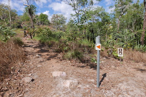Walker Creek - Sydney 4u 2
