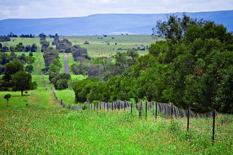 Wild Dog Barrier Fence - Sydney 4u 0