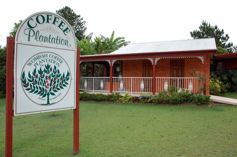 Wombah Coffee Plantation - Accommodation Sydney 0