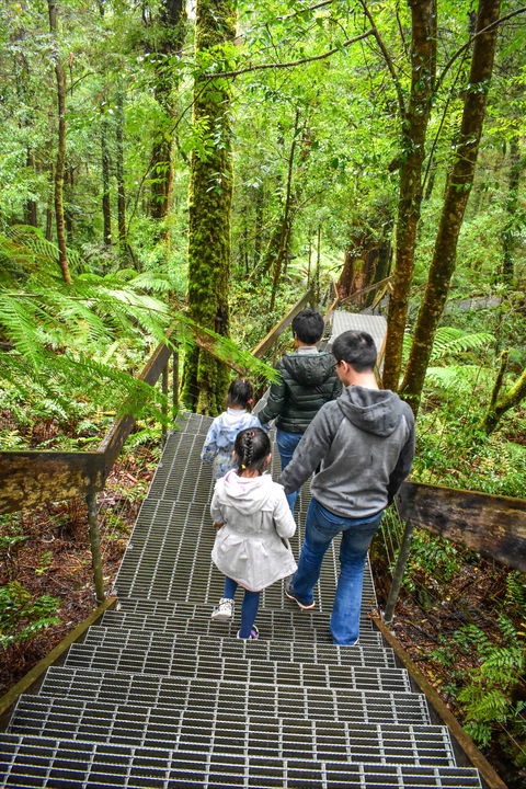 Yarra Ranges National Park - Sydney 4u 0
