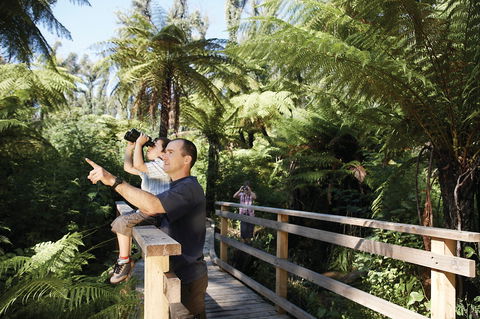 Yarra Ranges National Park - Sydney 4u 1