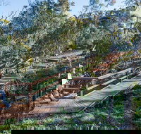 Falcon Falls walking track - Accommodation Sydney