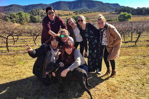 Snapshot Half Day Hunter Valley Wine Tour - Accommodation Sydney 4