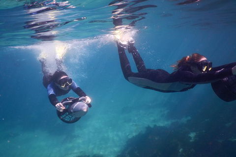 Small-Group Underwater Scooter Experience In Clovelly - Accommodation Sydney 0