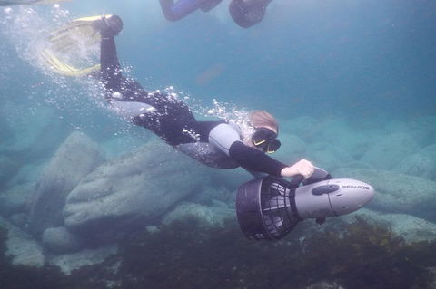 Small-Group Underwater Scooter Experience In Clovelly - Accommodation Sydney 7