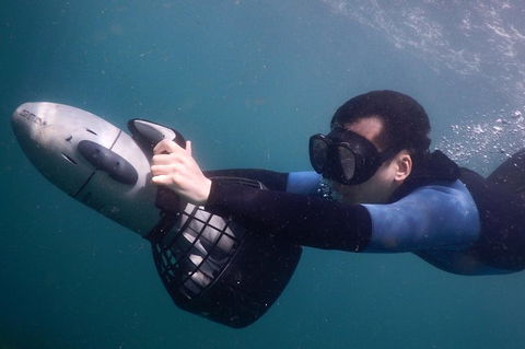 Small-Group Underwater Scooter Experience In Clovelly - Accommodation Sydney 3