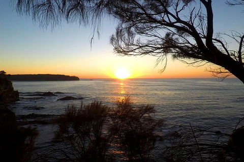 Batemans Bay Overnight Kayak Camping Tour - All Inclusive - Sydney 4u 1