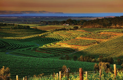 Mclaren Vale - Accommodation Sydney 1