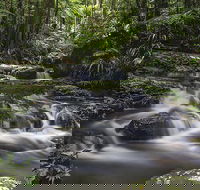 Protesters Falls Walking Track - Accommodation Sydney
