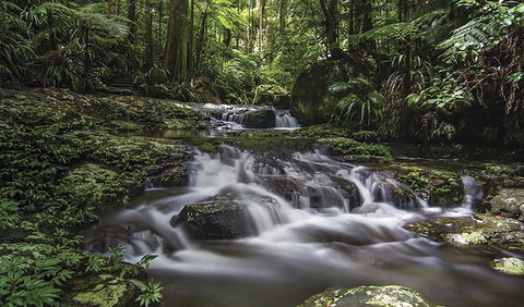 Protesters Falls Walking Track - Accommodation Sydney 0