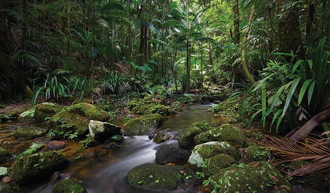 Protesters Falls Walking Track - Accommodation Sydney 2