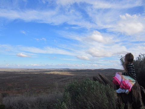 Sundown Nature Trail - Accommodation Sydney 1