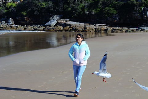 Half Day Manly Beach And More - Accommodation Sydney 6