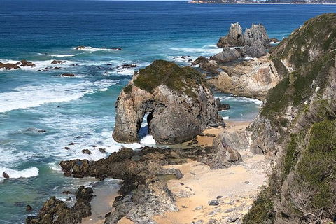Narooma And Tilba Valley Private Tour - Sydney 4u 8